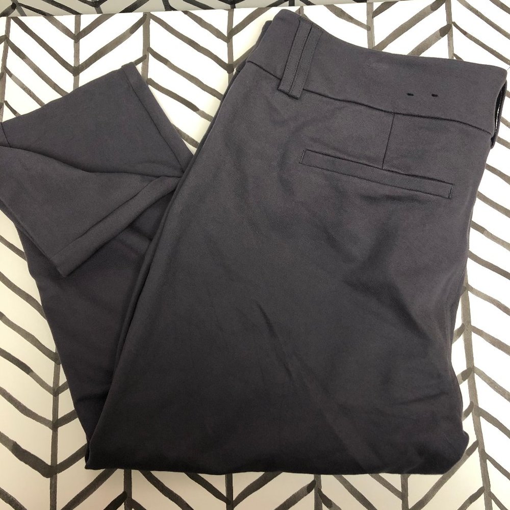 Torrid Gray Crop Pants